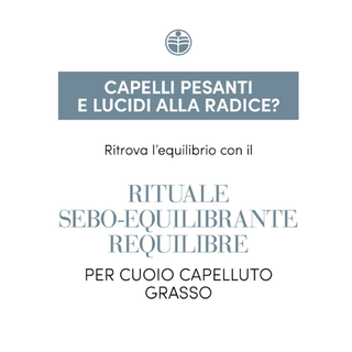 Bottiglia di Medavita Requilibre Shampoo Sebo-Equilibrante 250ml per capelli grassi e cute grassa. Shampoo sebo-equilibrante con Acido Abietico, Proteine della Soia e Estratto di Zenzero. Detersione bilanciata, purificante e protettiva per capelli sani e voluminosi.