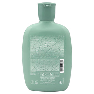 Shampoo Anti-Caduta Capelli | Alfaparf Semi di Lino Energizing