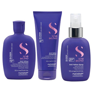 Routine Antigiallo Capelli Biondi Alfaparf