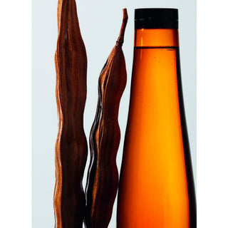 Shu Uemura Urban Moisture Champú 300ML – Champú para cabello seco